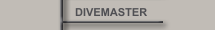 DIVEMASTER